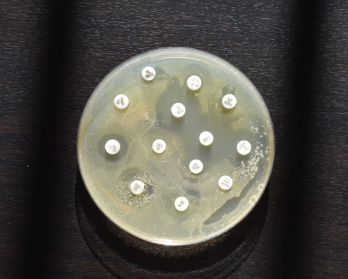 Antibio-résistance : "Un seul monde, une seule santé"