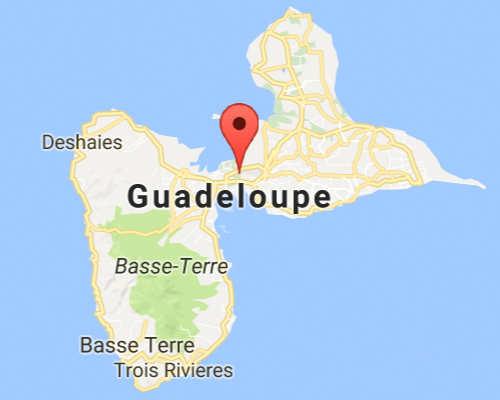 Guadeloupe: 700 femmes enceintes touchées par le Zika en 2016