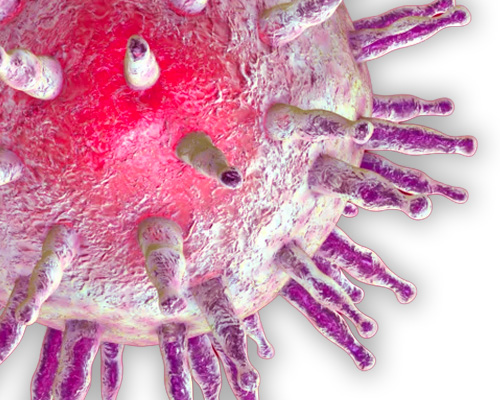 EBV et sclérose en plaques une piste sérieuse qui pourrait changer l’histoire de la maladie