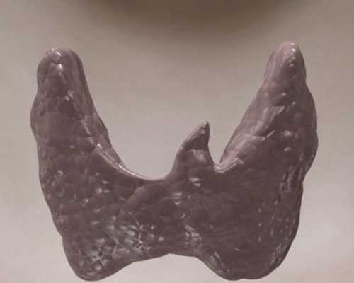 Thyroïdectomie : Corriger le magnésium permet de réduire l’hypocalcémie?