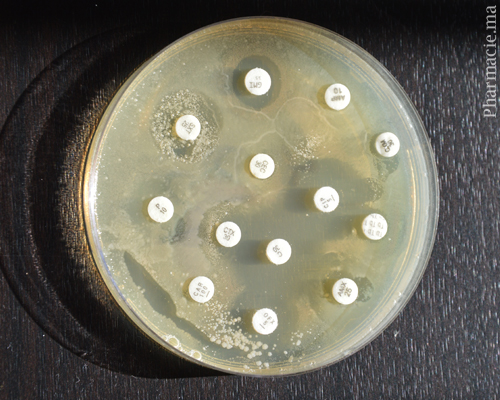 Résistance aux antimicrobiens : Peut-on inverser la tendance ?