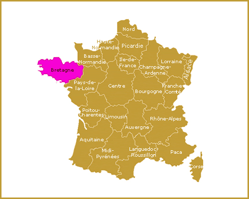 France : un «nouveau variant» en Bretagne