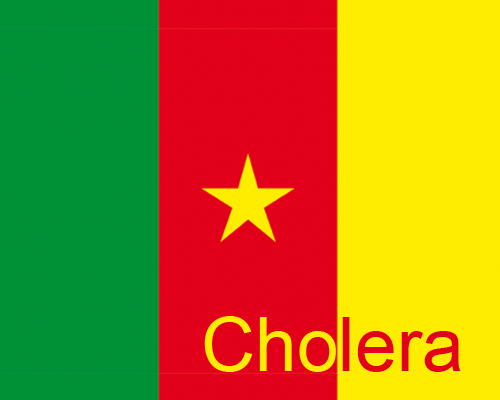 La forte prévalence du choléra au Cameroun élucidée