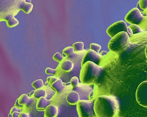OMS : La pandémie Covid-19 serait responsable de 13 à 17 millions de décès