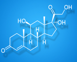 Les glucocorticoïdes augmentent le risque d’infection grave du sang
