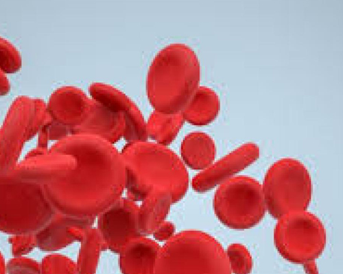 Drepaf : un espoir made in Dakar pour les patients atteints  de drépanocytose