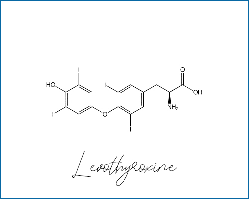 De nouveaux médicaments à base de lévothyroxine viennent d’obtenir leur autorisation de mise sur le marché marocain