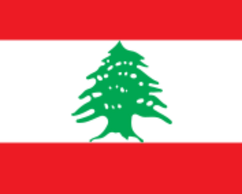 Liban : un sit-in en soutien aux pharmaciens agressés