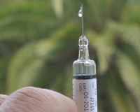 Le premier vaccin contre le paludisme va être autorisé
